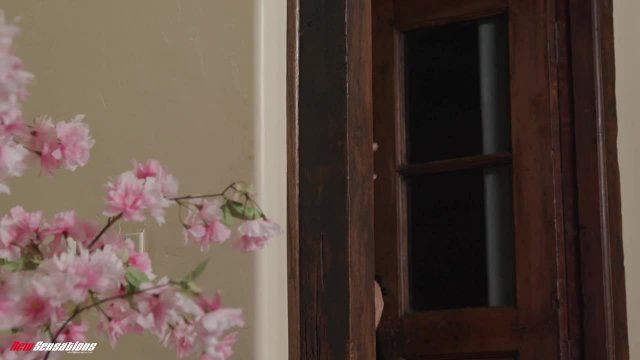 Превью Лучший антидепрессант для латинки № 45685