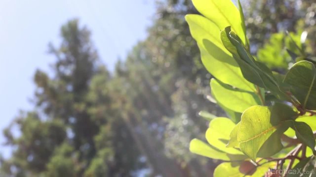 Превью В неё как в сон: сладкий и без пробуждения № 46127