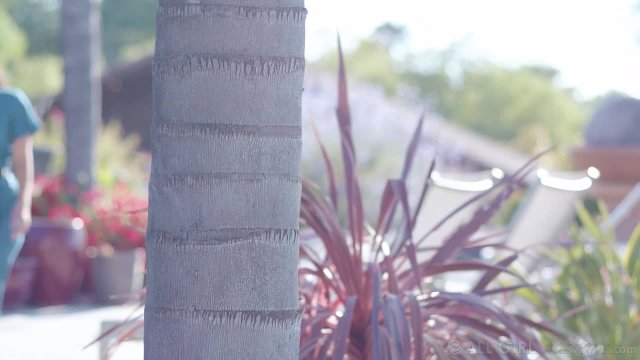 Превью Не вполне традиционный, но очень сладкий массаж № 46155